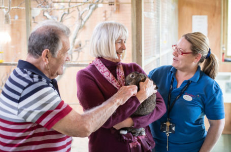 Residents cuddling the rabbit with activities coordinator at the mini farm in Casa di Lusso Care home Bridgwater Somerset