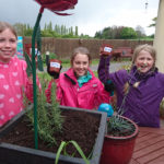 Curry Rivel school children holding up their planted sunflowers