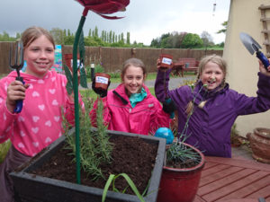 Curry Rivel school children holding up their planted sunflowers