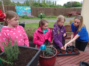 Curry Rivel school children planting the herb garden at Immacolata house
