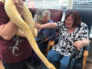 Campania resident stroking a snake at their macmillan coffee morning