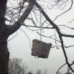 Bird feeder hanging in the tree