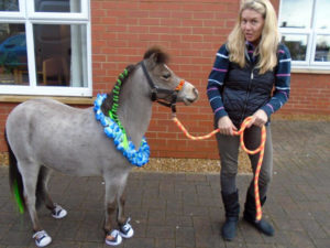 dressed up lofty with owner April, ready to meet everyone at Aspen Court