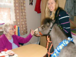 Aspen Court resident meeting Lofty the miniature horse from Lofty Therapy Horses