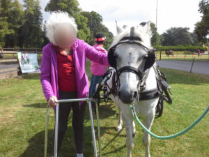 Immacolata House resident meeting the horses at the Forde Abbey RDA Carriage Driving Group