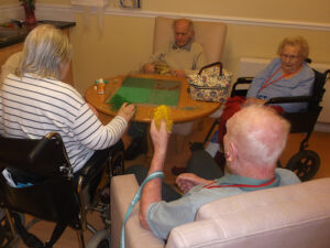 Clarence park care home residents during the creation of their model farm